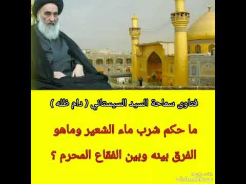 ما حكم شرب ماء الشعير وما هو فرقه عن الفقاع المحرم فتاوى سماحة السيد السيستاني دام ظله