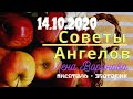 14 октября 2020/Советы Ангелов/Лена Воронова