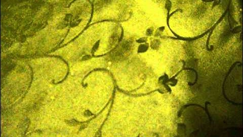 Samsung Galaxy player 3.6 help me please