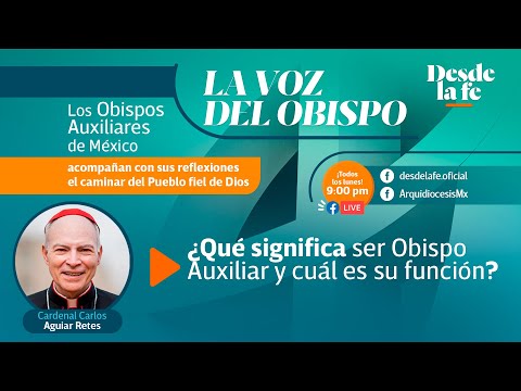 Video: ¿Quién es el obispo auxiliar?