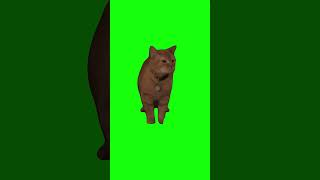 I Go Meow – Cat Singing | Green Screen