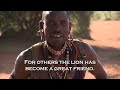 Lion Guardians - Coexistence between people and lions (Maa w/subtitles) Mp3 Song