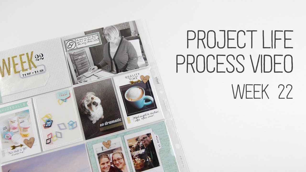Week 22 Project Life Process - YouTube
