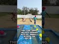 Battle of the Best: Only One Can Be Champion! #shortvideo #videoshortsviral