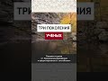 Три поколения ученых || Ринат абу Ибрахим