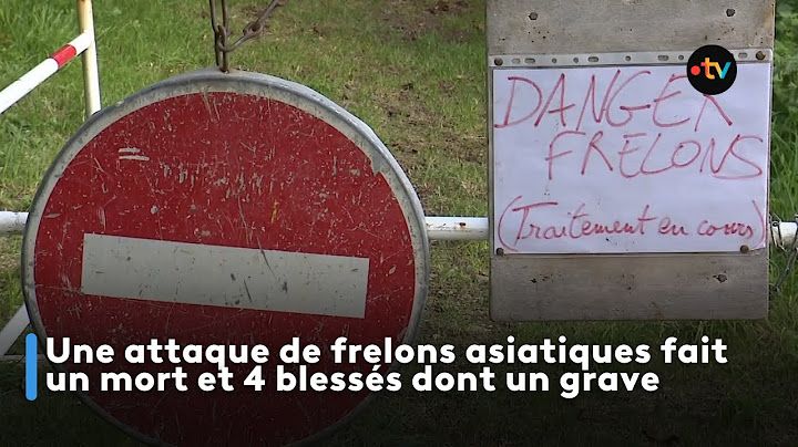 Une attaque de frelons asiatiques fait un mort et 4 blessés dont un grave