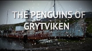 The penguins journey to The Deep