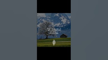 "يا أيها الناس أنتم الفقراء الى الله....."تلاوة تريح النفس القارئ اسلام صبحي