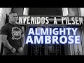 Chicago gangs  almighty ambrose  pilsen