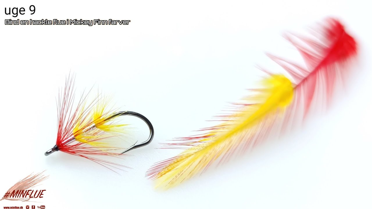 Bind en Hackle flue i Mickey Finn farver, og lidt messe tilbud - update fra Minflue.dk uge 9