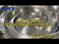 Auto led chips crimpingforming machine for led bulb production line