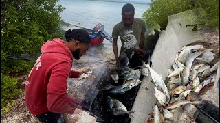Pulling Nets & Island Roasts: A Day on the Water