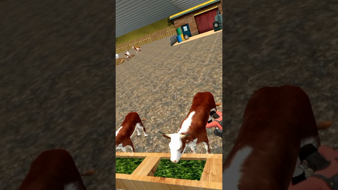 💥🤗🤗cow farming game 