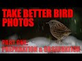 Improve Your Garden Bird Photography - Part One: Preparation and Observation