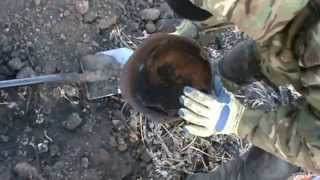 Раскопки в полях Второй Мировой Войны Фильм 3 Раскопки в полях Второй Мировой Войны Фильм 3