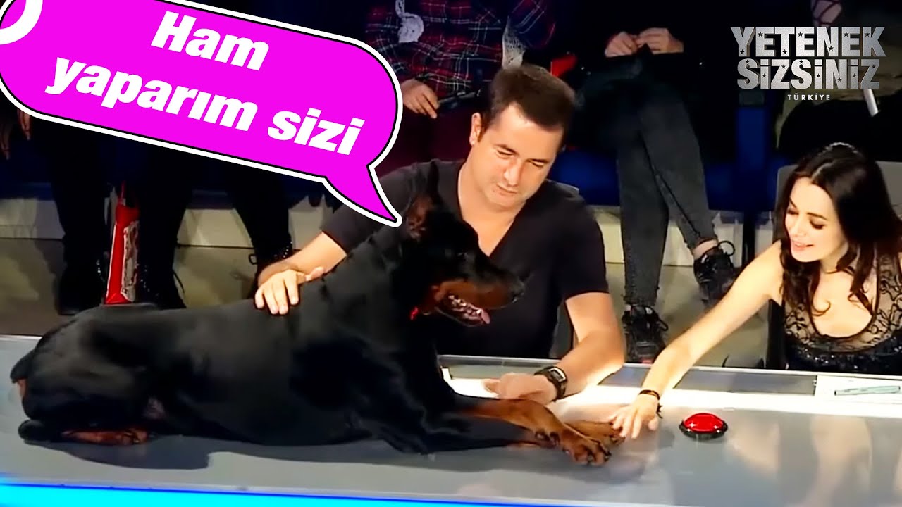 Acun  Ilıcalı, Doberman Korkusunu Yendi | Yetenek Sizsiniz Türkiye