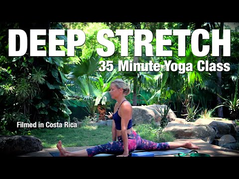 Deep Stretch Yoga Class - 35 min, a free yoga class with Erin Sampson