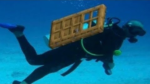 Zombie Nation - Kernkraft 400, But With Random Images