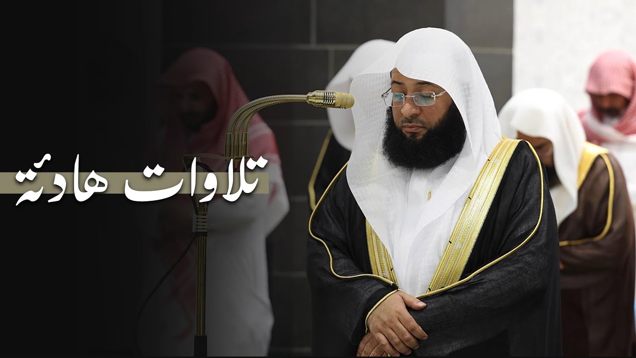 تلاوات هادئة مطمئنة للشيخ بدر التركي | من فروض رمضان 1446هـ