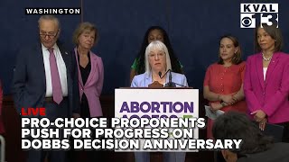 Schumer joins pro-choice advocates on Dobbs decision anniversary