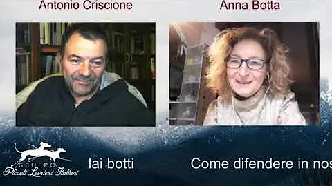 Cosa dare al cane per i fuochi d'artificio?