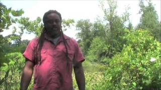National Public Lands Day at Kenilworth Aquatic Gardens National Park