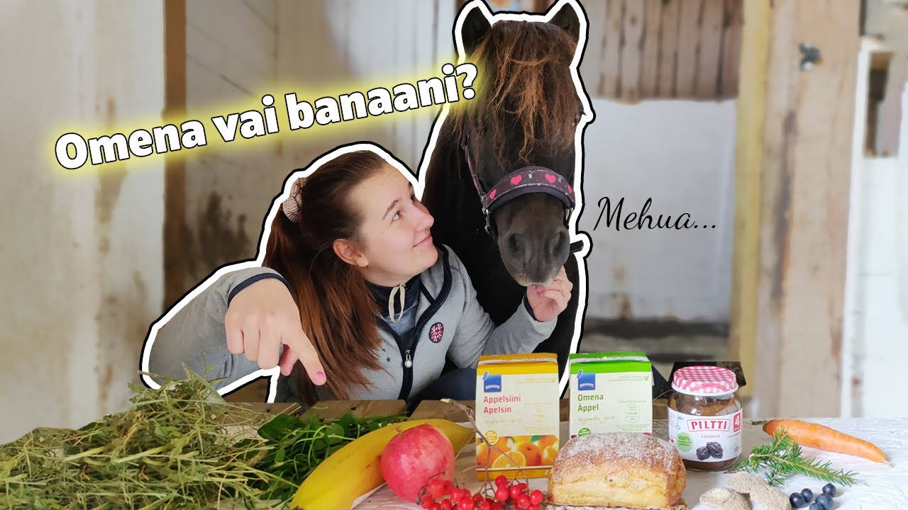 Telepatiahaaste PONIN kanssa 🦄
