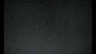 None (video005.3gp)