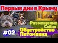 Переезд в Крым. Первые дни. Обустройство Питомника.  #02