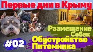 Переезд в Крым. Первые дни. Обустройство Питомника. #02