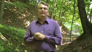 Part 10 of 10:  Exposing the doctrine of the trinity as evil & of the spirit of antichrist. Wealth