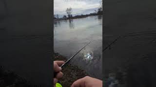 Рыбалка на голавля! Пытаемся словить голавля в марте на большой воде!!!#fishing #рыбалка