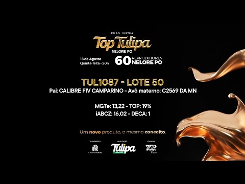 lote 50   TUL 1087