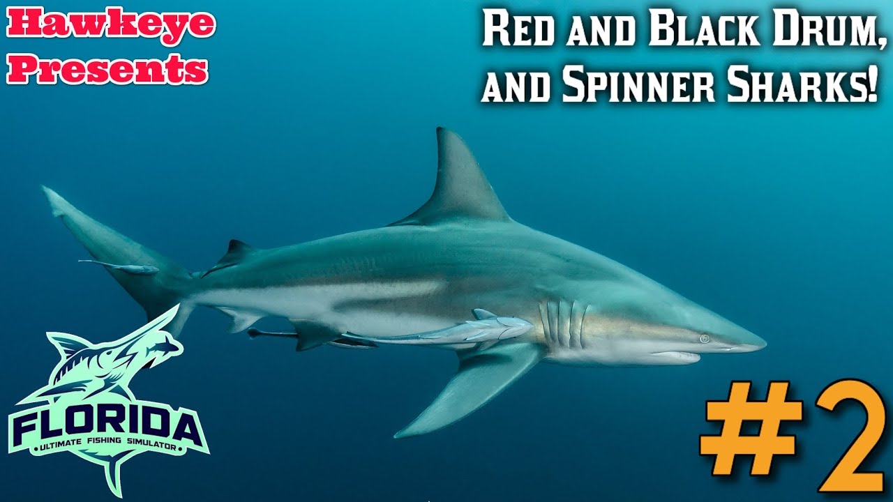 Ultimate Fishing Simulator S6 #2 - Florida DLC: Red and Black Drum