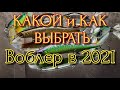 КАК и КАКОЙ ВОБЛЕР ВЫБРАТЬ В 2021 | ТОП ЛУЧШИХ НОВИЧКУ | Fishing | Kosadaka | Рыбалка