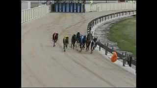 Goulburn-10112015-Race-4