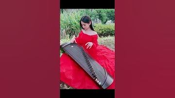 Guzheng instrument 18