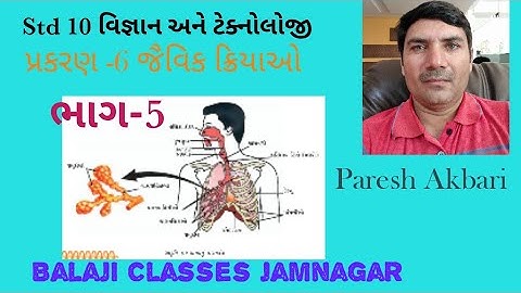 Std 10 વિજ્ઞાન  પાઠ 6 part 5 જૈવિક ક્રિયાઓ(jaivik kriyao)