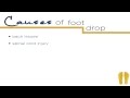 What Causes the Foot to Drop Down?