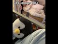 Who would refuse the little seal to coax himself to sleep?