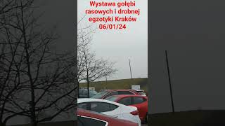 Krakowska wystawa Gołębi 🏅 Zapraszam na film.