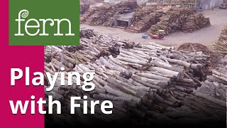 Playing with Fire: Europe's bioenergy future
