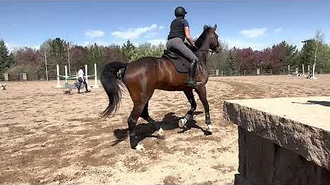 Brightside - Melissa Acker - No Stirrup Lesson wit...