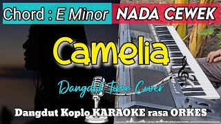 CAMELIA KARAOKE - Versi Dangdut Koplo KARAOKE rasa ORKES || Nada Cewek