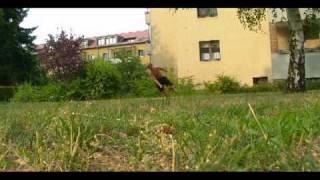 Tricking - mini grass sampler