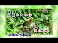 女もつらいよ   神野美伽  字義版