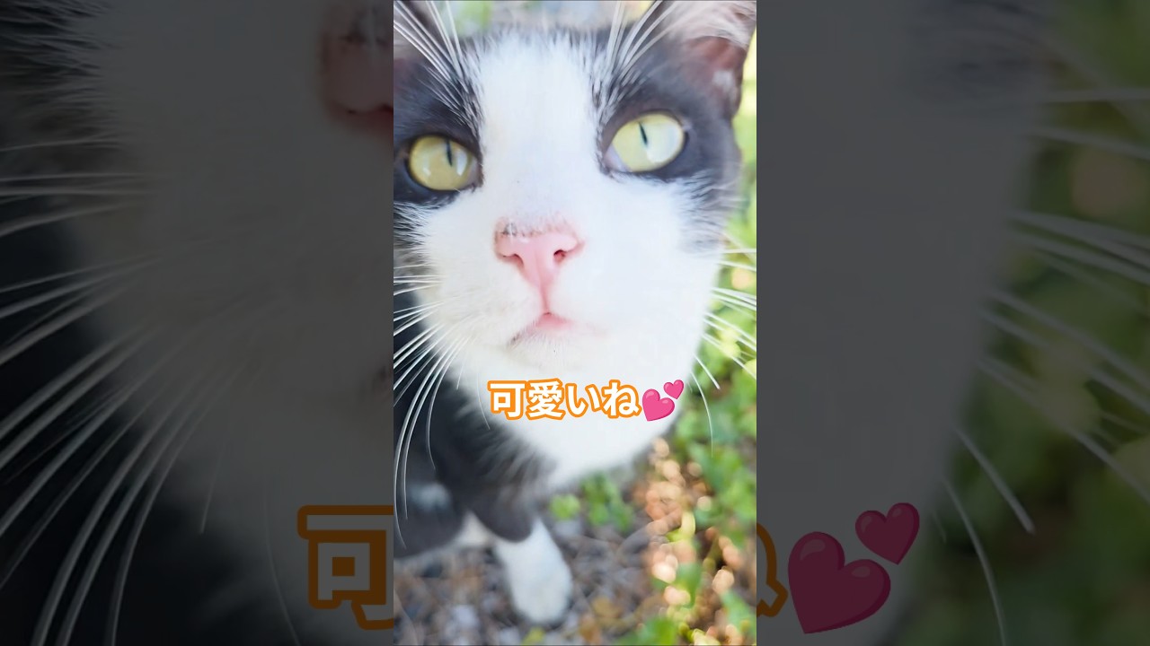 癒しの時間(=゚ω゚=)💕