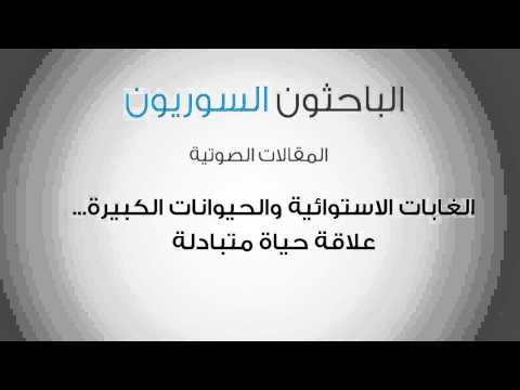 فيديو: ما هي بعض الأنواع المهددة بالانقراض في الغابات المطيرة المعتدلة؟