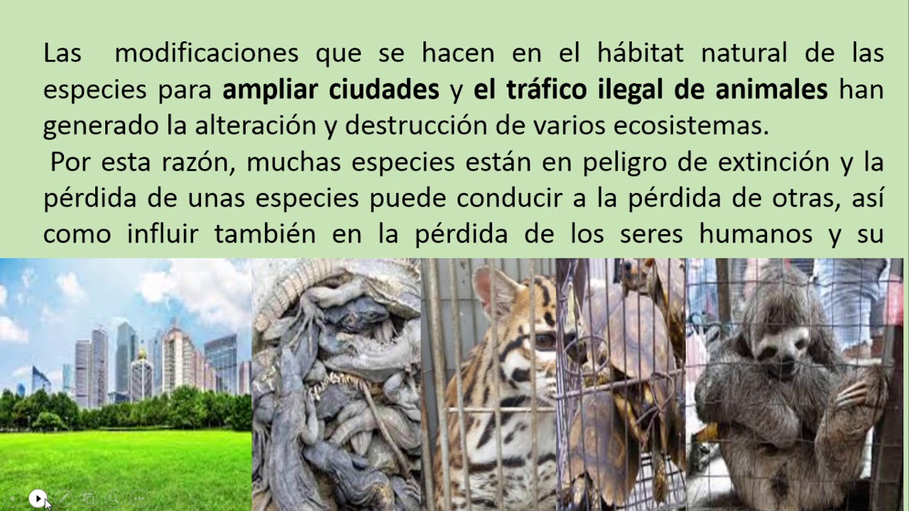 CAUSAS Y CONSECUENCIAS POTENCIALES DE LA EXTINCION DE LAS ESPECIES ...
