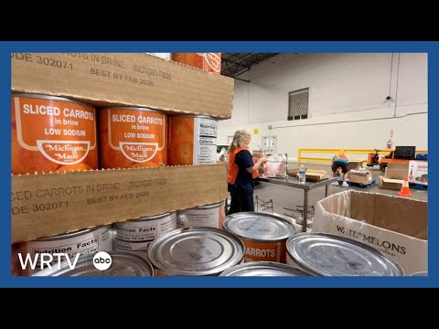 Finding solutions to food insecurity